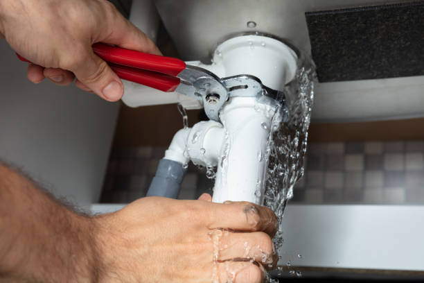 Best Water damage cleanup near me  in North Aurora, IL