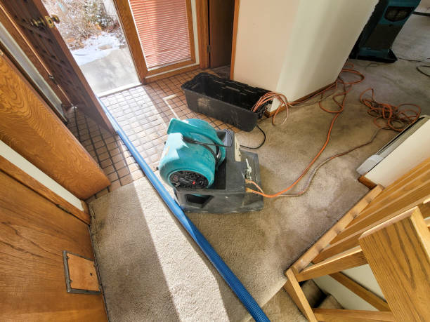 Best Ceiling water damage repair  in North Aurora, IL