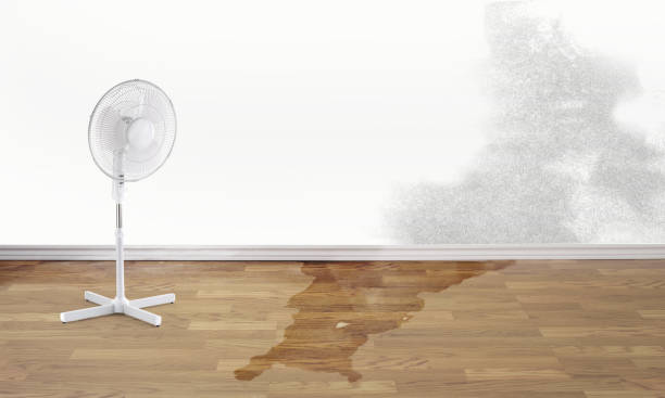 Best Basement water damage restoration  in North Aurora, IL