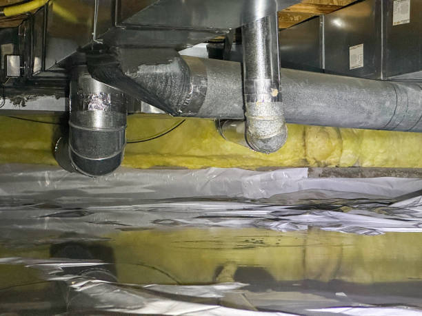 Best 24/7 water damage repair  in North Aurora, IL