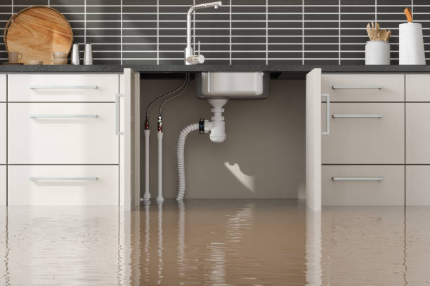 Trusted North Aurora, IL Water damage restoration Experts