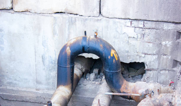 Best Flood damage cleanup  in North Aurora, IL