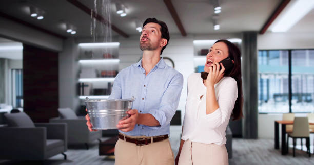 Best Carpet water damage restoration  in North Aurora, IL