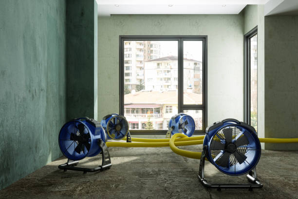 Best Water damage repair service  in North Aurora, IL